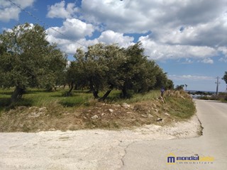 Terreno edificabile in Vendita a Pachino, 3800 m²