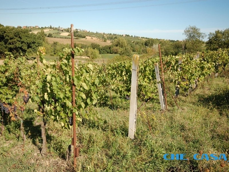 Terreno edificabile in Vendita a Saludecio, 38'000€, 7400 m²