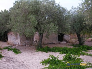 Terreno edificabile in Vendita a Noto, 42'640€, 21800 m²