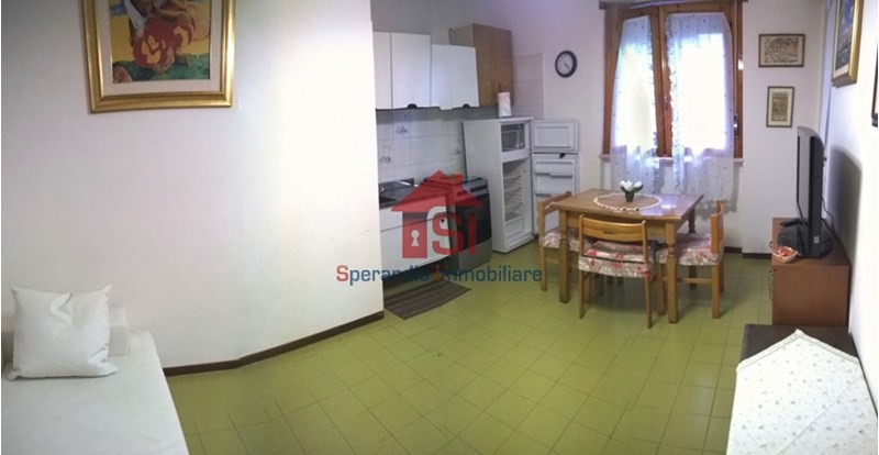 Bilocale in Vendita a Pineto, zona Scerne di Pineto, 42'500&euro;, 40 m², arredato