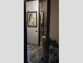 Appartamento in Vendita a Padova, zona Sacra Famiglia, 210'000€, 110 m²