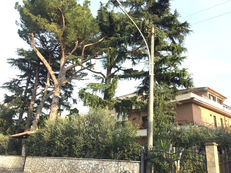 Bilocale in Affitto a Tivoli, zona Villadriana , 420&euro;, 40 m², arredato