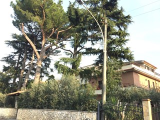 Bilocale in Affitto a Tivoli, zona Villadriana , 420€, 40 m², arredato