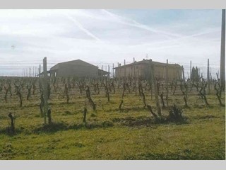 Cascina in Vendita a Rocca Grimalda, zona Campagna, 200'000€, 270 m²