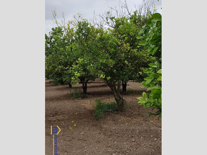 Terreno edificabile in Vendita a Noto, 80'000€, 16891 m²