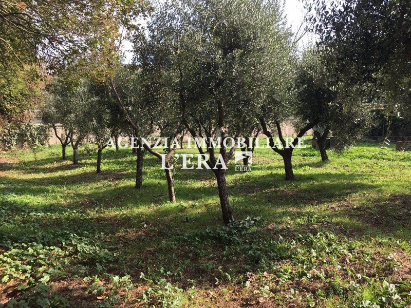 Terreno edificabile in Vendita a Pontedera, zona La Borra, 170'000€, 944 m²