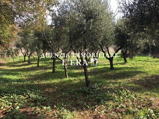 Terreno edificabile in Vendita a Pontedera, zona La Borra, 170'000€, 944 m²