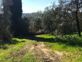 Terreno agricolo in Vendita a Empoli, zona Monterappoli, 22'000€, 11630 m²
