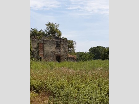 Rustico in Vendita a Signa, zona renai, 150'000€, 400 m²