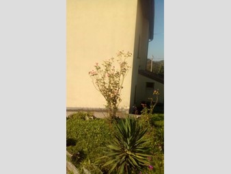 Casa Indipendente in Vendita a Castelnovo del Friuli, zona favis, 63'000€, 100 m², arredato