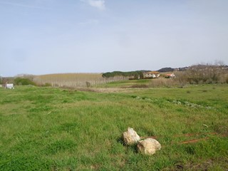 Terreno edificabile in Vendita a Terricciola, zona Selvatelle, 38'000€, 500 m²