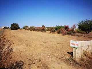 Terreno agricolo in Vendita a Pachino, zona Cozzo croce, 11'000€, 3000 m²