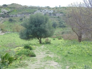 Terreno edificabile in Vendita a Pachino, 73'000€