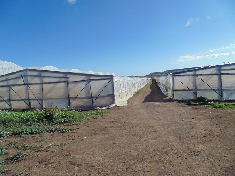 Terreno agricolo in Vendita a Pachino, zona Morgella, 32'000€