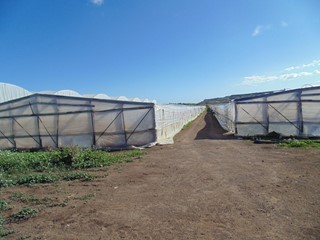 Terreno agricolo in Vendita a Pachino, zona Morgella, 32'000€