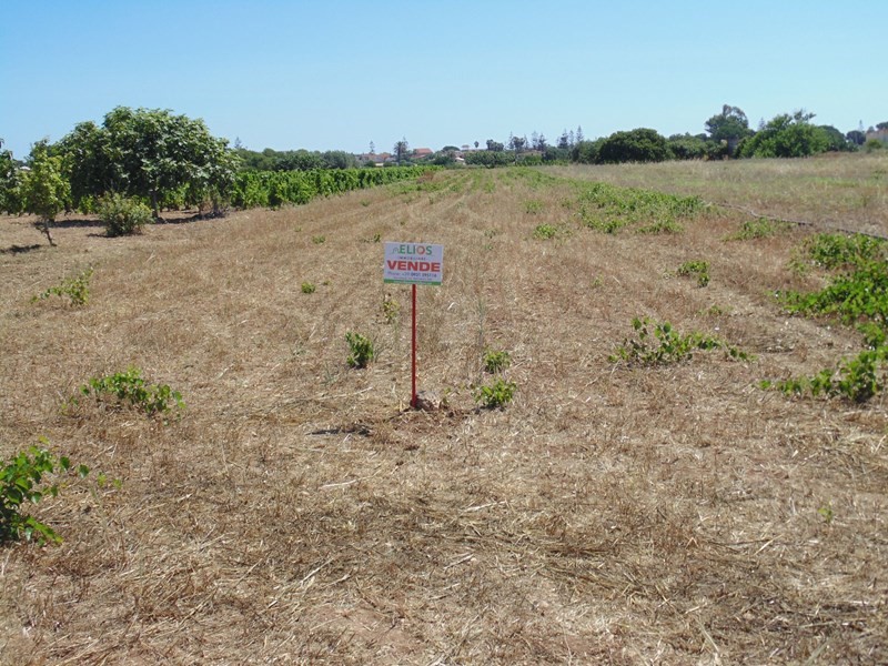 Terreno agricolo in Vendita a Pachino, zona San Lorenzo, 20'000€, 3500 m²