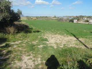 Terreno agricolo in Vendita a Pachino, zona C.da Carrata, 38'000€