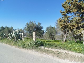 Terreno agricolo in Vendita a Pachino, zona C.da Carrata, 30'000€