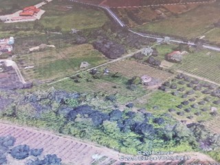 Terreno agricolo in Vendita a Grottaferrata, zona castel de Paolis, 98'000€, mq. 8000
