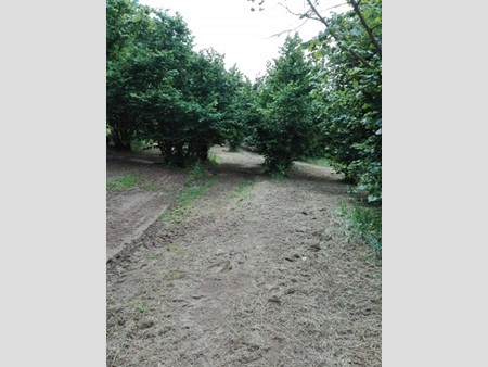 Terreno agricolo in Vendita a Soriano nel Cimino, 11'000€, 14980 m²