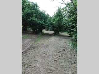 Terreno agricolo in Vendita a Soriano nel Cimino, 11'000€, 14980 m²