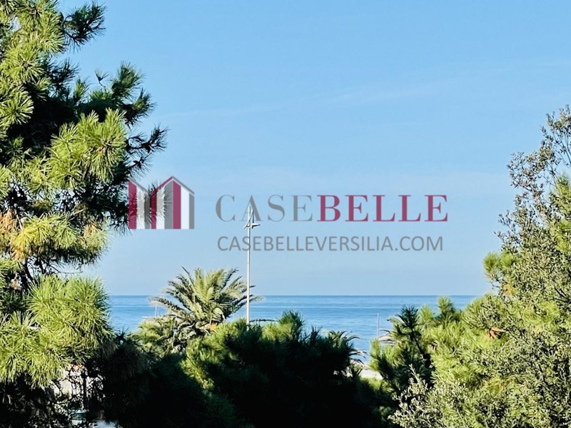 Appartamento in Vendita a Camaiore, zona Lido di Camaiore, 550'000&euro;, 70 m²