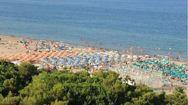 Trilocale in Affitto a Alba Adriatica, zona mare, 350€, 50 m², arredato