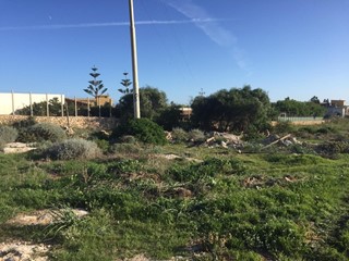 Terreno agricolo in Vendita a Lampedusa e Linosa, zona Cala pisana, 75'000€, 4207 m²