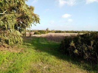 Terreno agricolo in Vendita a Alghero, zona Santa Maria La Palma, 65'000€, 45000 m²
