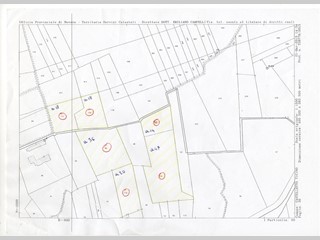 Terreno agricolo in Vendita a Castelletto sopra Ticino, 40'000€, 16200,00