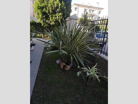 Appartamento in Affitto a Verona, zona Borgo Venezia, 1'200€, 120 m²