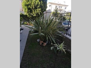 Appartamento in Affitto a Verona, zona Borgo Venezia, 1'200€, 120 m²