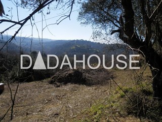 Terreno edificabile in Vendita a Casciana Terme Lari, zona Lari, 80'000€, 629 m²