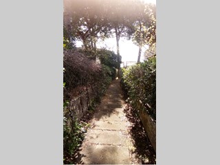 Villa bifamiliare in Affitto a Montalto di Castro, zona Via Torre Marina