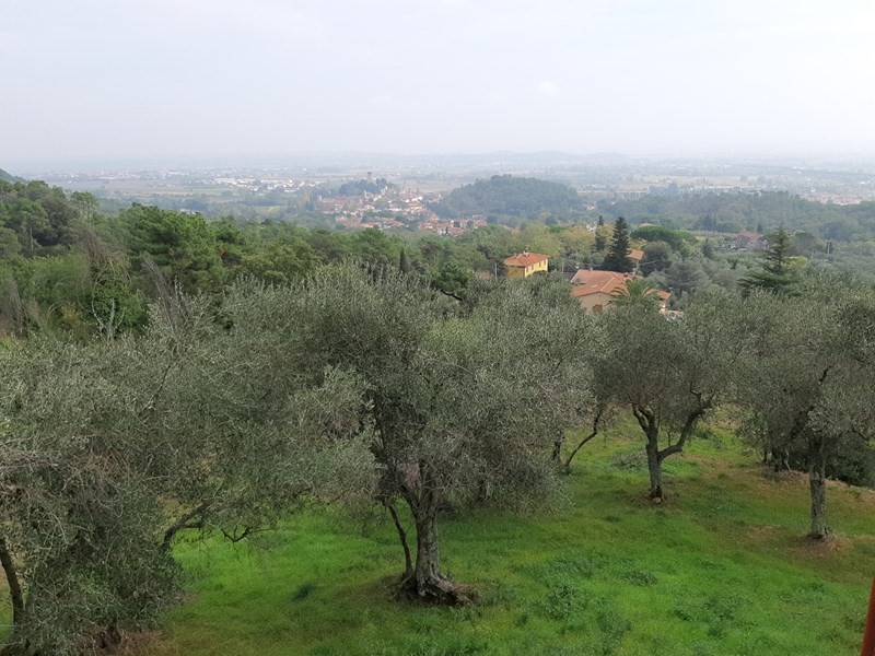 Rustico in Vendita a Vicopisano, zona Fondello, 350'000€, 250 m²