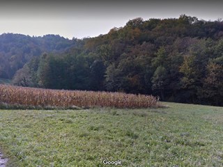 Terreno agricolo in Vendita a Pontida, 40'000€, 13000 m²