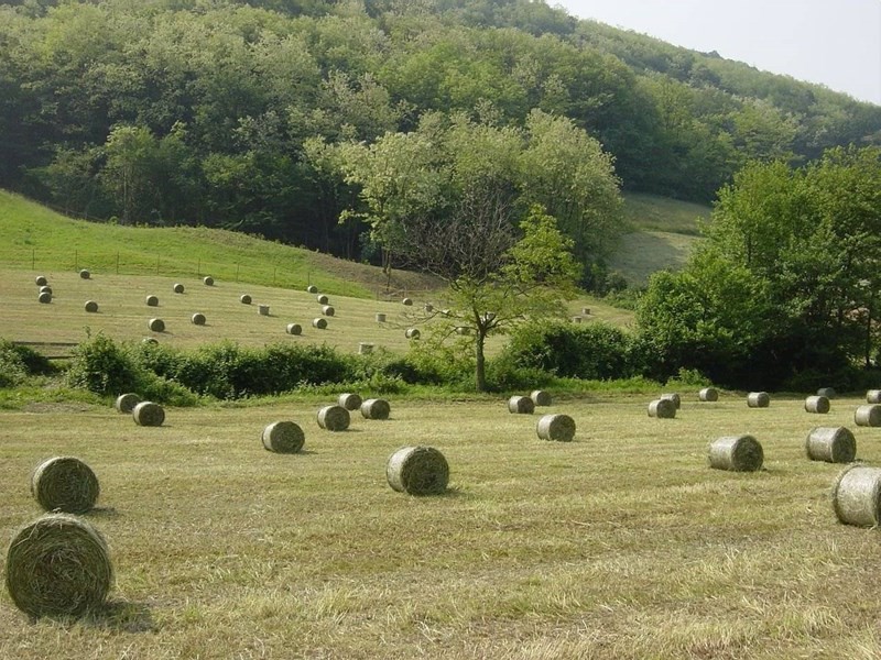 Terreno agricolo in Vendita a Albano Sant'Alessandro, 45'000€, 45000 m²