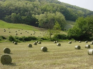 Terreno agricolo in Vendita a Albano Sant'Alessandro, 45'000€, 45000 m²