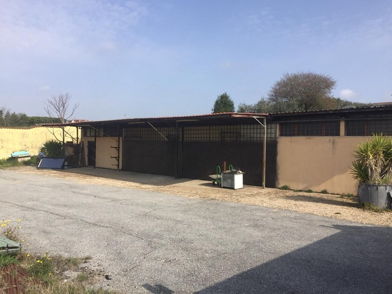 Capannone in Affitto a Roma, zona Ardeatino, 2'400€, 200 m²