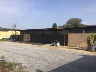 Capannone in Affitto a Roma, zona Ardeatino, 2'400€, 200 m²