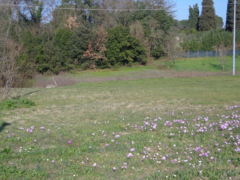 Terreno edificabile in Vendita a Fucecchio, 99'000€, 2200 m²