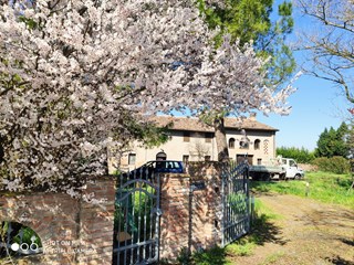 Villa in Vendita a Conselice, 295'000€, 276 m²