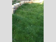 Terreno industriale in Vendita a Altopascio, zona Chimenti, 3'000'000€, 30000 m²