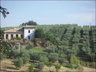 Quadrilocale in Vendita a Appignano del Tronto, 147'000€, 101 m²