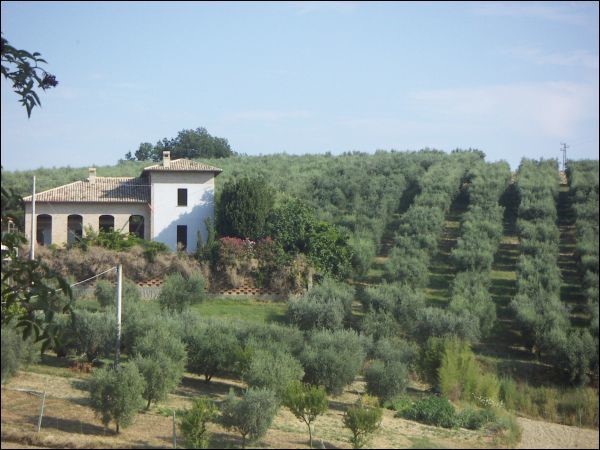 Trilocale in Vendita a Appignano del Tronto, 120'000€, 75 m²