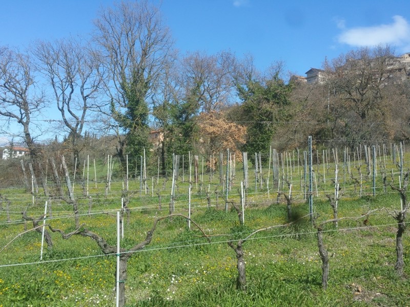 Terreno agricolo in Vendita a Lugnano in Teverina, 53'000€, 24000 m²