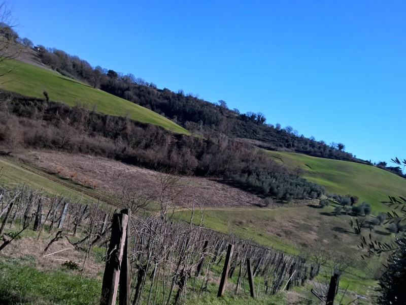 Terreno agricolo in Vendita a Lugnano in Teverina, 10'000€, 10000 m²