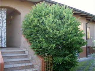 Villetta a schiera in Vendita a Luni, 280'000€, 150 m², con Box