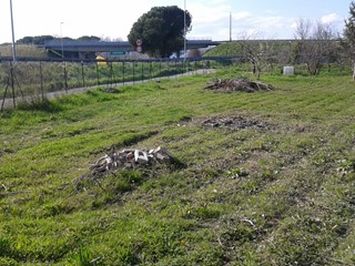 Terreno agricolo in Vendita a Carrara, zona marina di carrara, 55'000€, 3300 m²