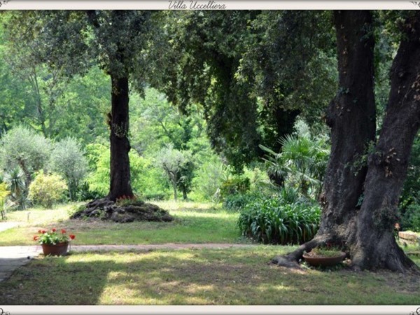 Villa in Vendita a Ameglia, 1'650'000&euro;, 470 m²